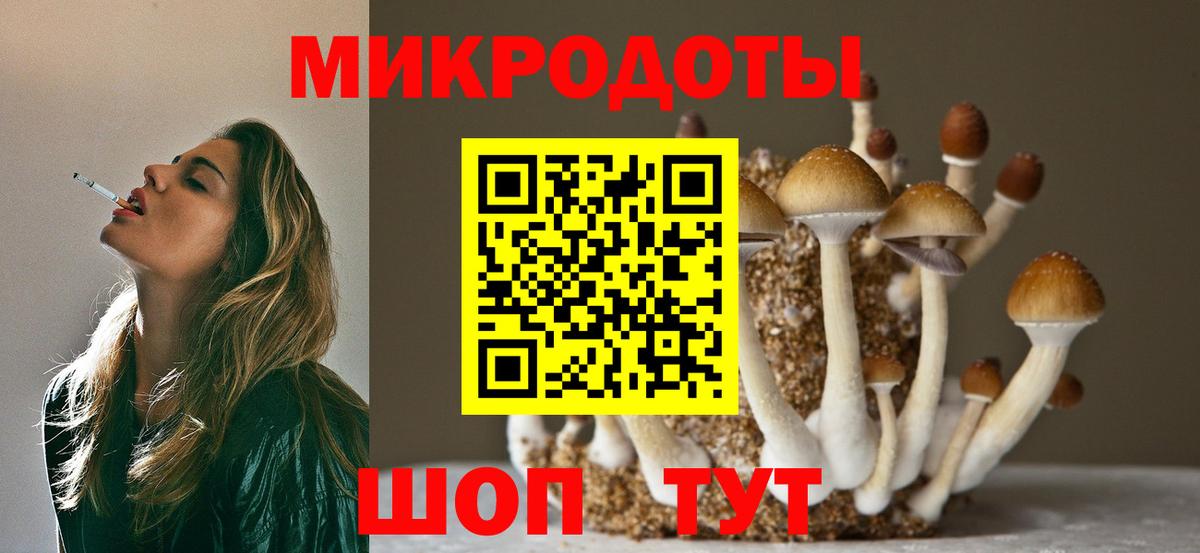 Десногорск  Галлюциногенные грибы ЛСД  Вход с VPN 