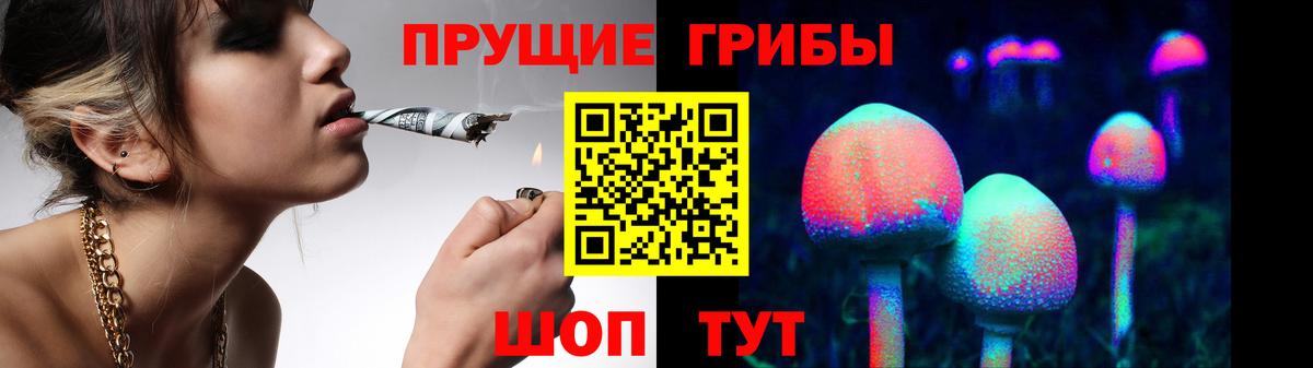 Псилоцибиновые грибы мицелий Десногорск
